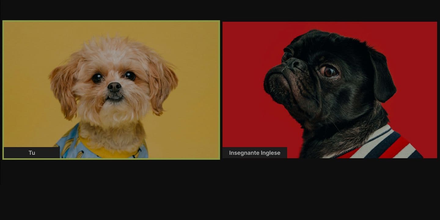 cover image of insegnanteinglese.com, a web design and developmente project to help people find the right english teacher