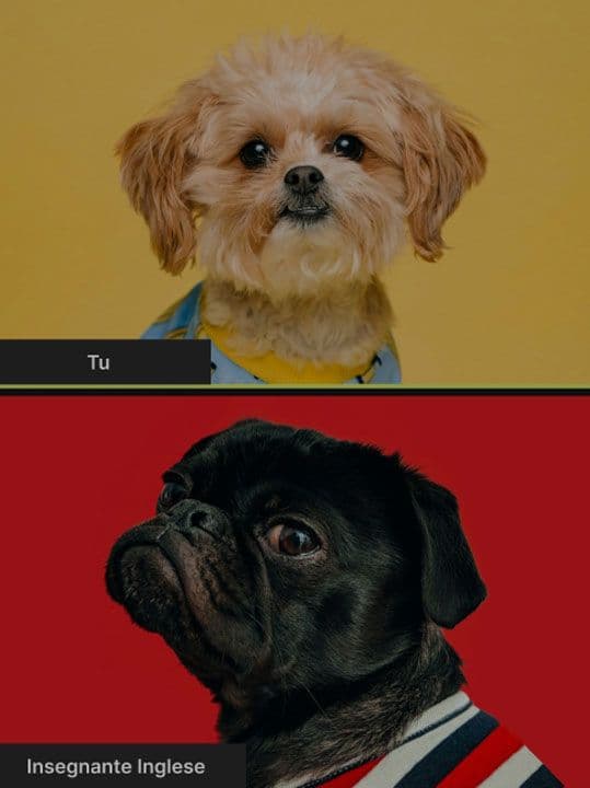 cover image of insegnanteinglese.com, a web design and developmente project to help people find the right english teacher